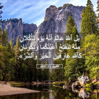 Picture 05 - اَلتَّكْوِينُ 3:5 AVD - بَلِ ٱللهُ عَالِمٌ أَنَّهُ - Bible Verse Picture