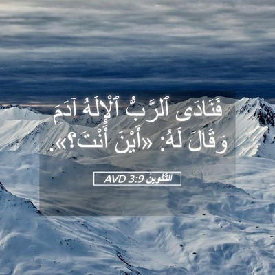 Picture 05 - اَلتَّكْوِينُ 3:9 AVD - فَنَادَى ٱلرَّبُّ - Bible Verse Picture
