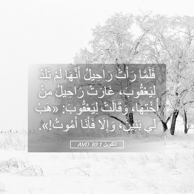 Picture 05 - اَلتَّكْوِينُ 30:1 AVD - فَلَمَّا رَأَتْ رَاحِيلُ - Bible Verse Picture