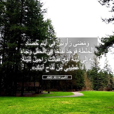 Picture 05 - اَلتَّكْوِينُ 30:14 AVD - وَمَضَى رَأُوبَيْنُ فِي - Bible Verse Picture