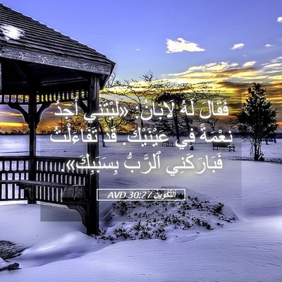 Picture 05 - اَلتَّكْوِينُ 30:27 AVD - فَقَالَ لَهُ لَابَانُ: - Bible Verse Picture