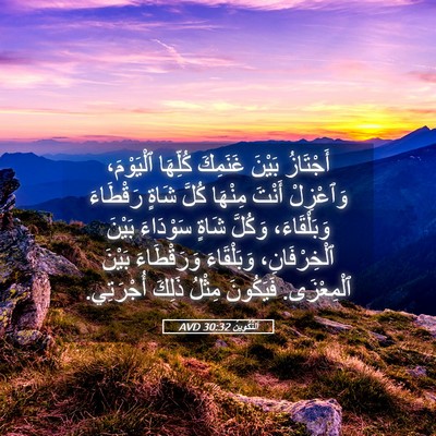 Picture 05 - اَلتَّكْوِينُ 30:32 AVD - أَجْتَازُ بَيْنَ غَنَمِكَ - Bible Verse Picture