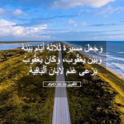 Picture 05 - اَلتَّكْوِينُ 30:36 AVD - وَجَعَلَ مَسِيرَةَ - Bible Verse Picture