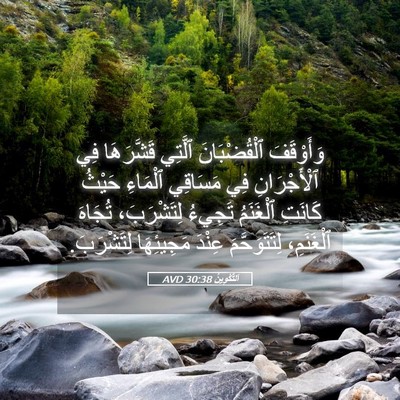 Picture 05 - اَلتَّكْوِينُ 30:38 AVD - وَأَوْقَفَ ٱلْقُضْبَانَ - Bible Verse Picture