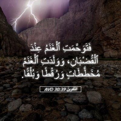 Picture 05 - اَلتَّكْوِينُ 30:39 AVD - فَتَوَحَّمَتِ ٱلْغَنَمُ - Bible Verse Picture