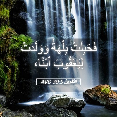 Picture 05 - اَلتَّكْوِينُ 30:5 AVD - فَحَبِلَتْ بِلْهَةُ - Bible Verse Picture