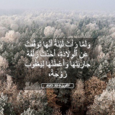 Picture 05 - اَلتَّكْوِينُ 30:9 AVD - وَلَمَّا رَأَتْ لَيْئَةُ - Bible Verse Picture
