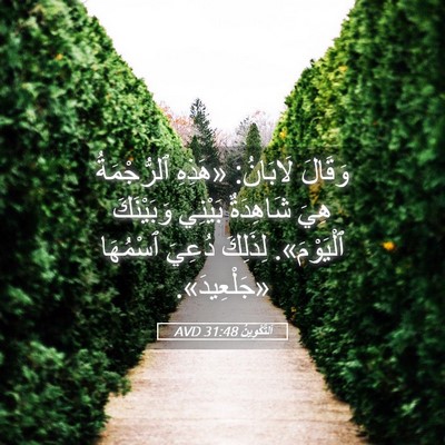 Picture 05 - اَلتَّكْوِينُ 31:48 AVD - وَقَالَ لَابَانُ: «هَذِهِ - Bible Verse Picture