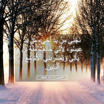 Picture 05 - اَلتَّكْوِينُ 32:11 AVD - نَجِّنِي مِنْ يَدِ أَخِي، - Bible Verse Picture