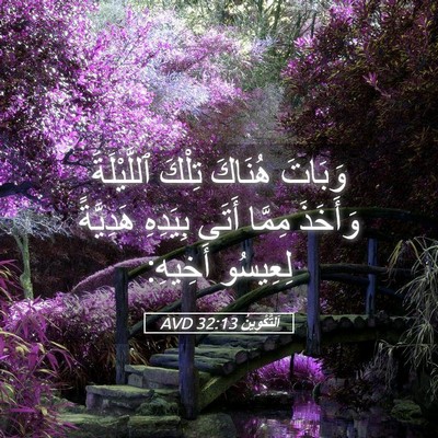 Picture 05 - اَلتَّكْوِينُ 32:13 AVD - وَبَاتَ هُنَاكَ تِلْكَ - Bible Verse Picture