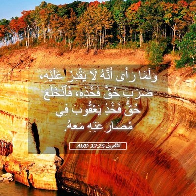 Picture 05 - اَلتَّكْوِينُ 32:25 AVD - وَلَمَّا رَأَى أَنَّهُ لَا - Bible Verse Picture