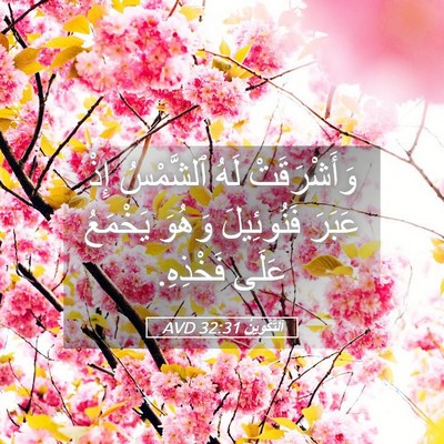 Picture 05 - اَلتَّكْوِينُ 32:31 AVD - وَأَشْرَقَتْ لَهُ - Bible Verse Picture