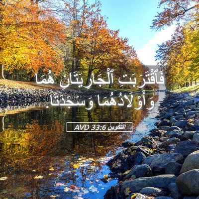 Picture 05 - اَلتَّكْوِينُ 33:6 AVD - فَٱقْتَرَبَتِ - Bible Verse Picture