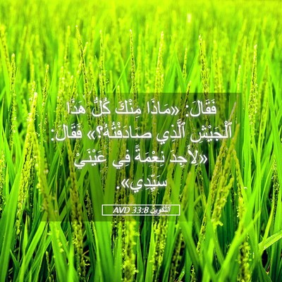 Picture 05 - اَلتَّكْوِينُ 33:8 AVD - فَقَالَ: «مَاذَا مِنْكَ - Bible Verse Picture