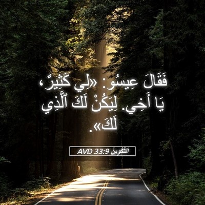 Picture 05 - اَلتَّكْوِينُ 33:9 AVD - فَقَالَ عِيسُو: «لِي - Bible Verse Picture
