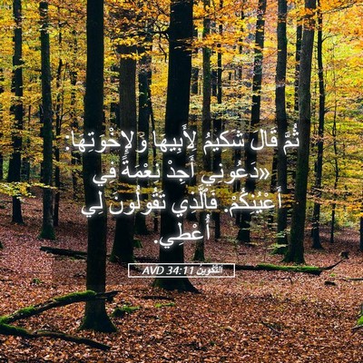 Picture 05 - اَلتَّكْوِينُ 34:11 AVD - ثُمَّ قَالَ شَكِيمُ - Bible Verse Picture