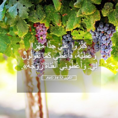 Picture 05 - اَلتَّكْوِينُ 34:12 AVD - كَثِّرُوا عَلَيَّ جِدًّا - Bible Verse Picture