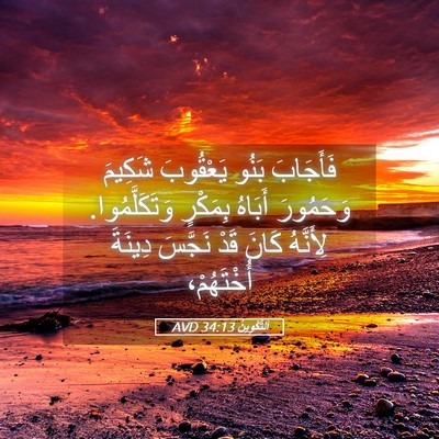 Picture 05 - اَلتَّكْوِينُ 34:13 AVD - فَأَجَابَ بَنُو يَعْقُوبَ - Bible Verse Picture