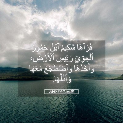 Picture 05 - اَلتَّكْوِينُ 34:2 AVD - فَرَآهَا شَكِيمُ ٱبْنُ - Bible Verse Picture