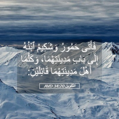 Picture 05 - اَلتَّكْوِينُ 34:20 AVD - فَأَتَى حَمُورُ وَشَكِيمُ - Bible Verse Picture
