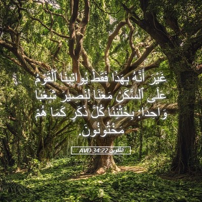 Picture 05 - اَلتَّكْوِينُ 34:22 AVD - غَيْرَ أَنَّهُ بِهَذَا - Bible Verse Picture