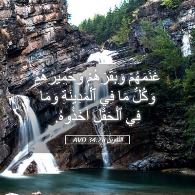 Picture 05 - اَلتَّكْوِينُ 34:28 AVD - غَنَمَهُمْ وَبَقَرَهُمْ - Bible Verse Picture