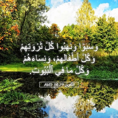 Picture 05 - اَلتَّكْوِينُ 34:29 AVD - وَسَبَوْا وَنَهَبُوا - Bible Verse Picture