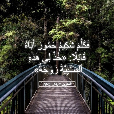 Picture 05 - اَلتَّكْوِينُ 34:4 AVD - فَكَلَّمَ شَكِيمُ حَمُورَ - Bible Verse Picture