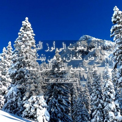 Picture 05 - اَلتَّكْوِينُ 35:6 AVD - فَأَتَى يَعْقُوبُ إِلَى - Bible Verse Picture