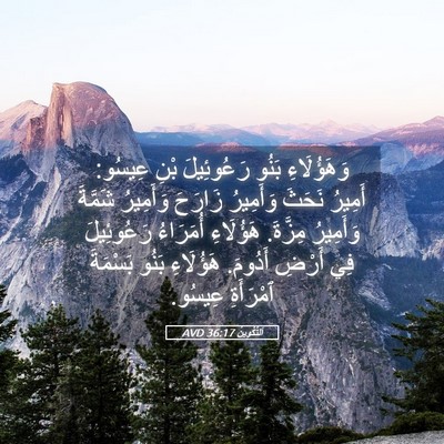Picture 05 - اَلتَّكْوِينُ 36:17 AVD - وَهَؤُلَاءِ بَنُو - Bible Verse Picture