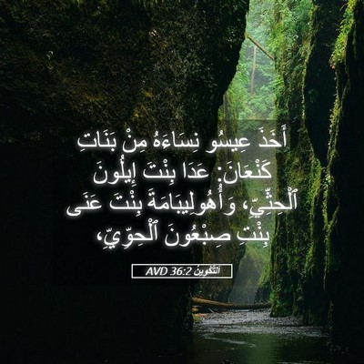 Picture 05 - اَلتَّكْوِينُ 36:2 AVD - أَخَذَ عِيسُو نِسَاءَهُ - Bible Verse Picture