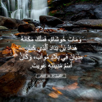 Picture 05 - اَلتَّكْوِينُ 36:35 AVD - وَمَاتَ حُوشَامُ، - Bible Verse Picture