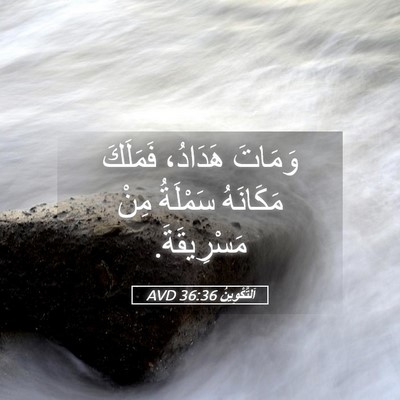 Picture 05 - اَلتَّكْوِينُ 36:36 AVD - وَمَاتَ هَدَادُ، فَمَلَكَ - Bible Verse Picture