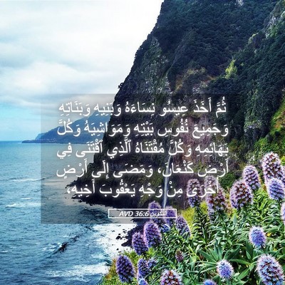 Picture 05 - اَلتَّكْوِينُ 36:6 AVD - ثُمَّ أَخَذَ عِيسُو - Bible Verse Picture
