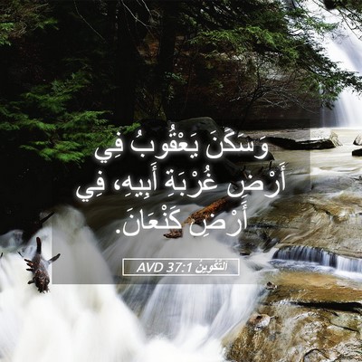 Picture 05 - اَلتَّكْوِينُ 37:1 AVD - وَسَكَنَ يَعْقُوبُ فِي - Bible Verse Picture