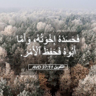 Picture 05 - اَلتَّكْوِينُ 37:11 AVD - فَحَسَدَهُ إِخْوَتُهُ، - Bible Verse Picture