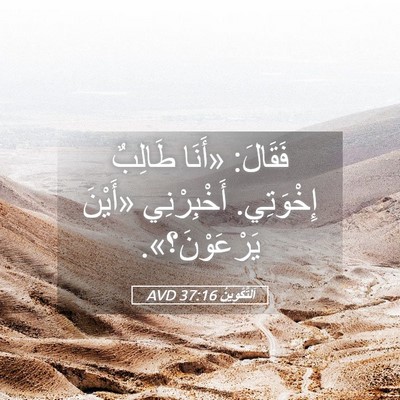 Picture 05 - اَلتَّكْوِينُ 37:16 AVD - فَقَالَ: «أَنَا طَالِبٌ - Bible Verse Picture