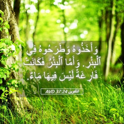 Picture 05 - اَلتَّكْوِينُ 37:24 AVD - وَأَخَذُوهُ وَطَرَحُوهُ - Bible Verse Picture