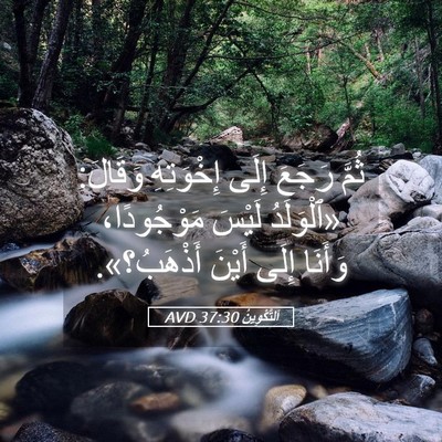 Picture 05 - اَلتَّكْوِينُ 37:30 AVD - ثُمَّ رَجَعَ إِلَى - Bible Verse Picture