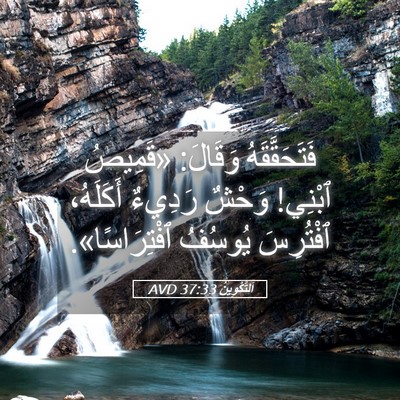 Picture 05 - اَلتَّكْوِينُ 37:33 AVD - فَتَحَقَّقَهُ وَقَالَ: - Bible Verse Picture