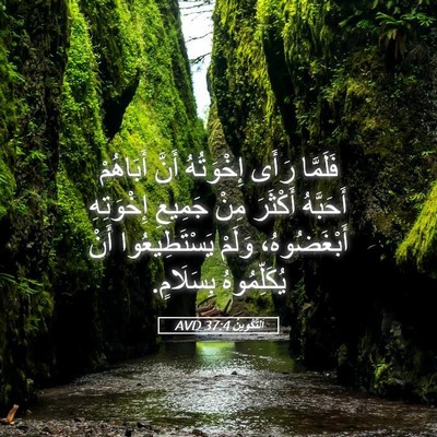 Picture 05 - اَلتَّكْوِينُ 37:4 AVD - فَلَمَّا رَأَى إِخْوَتُهُ - Bible Verse Picture