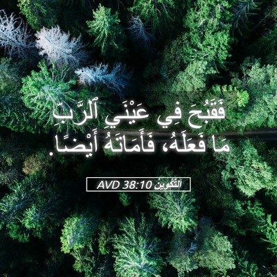 Picture 05 - اَلتَّكْوِينُ 38:10 AVD - فَقَبُحَ فِي عَيْنَيِ - Bible Verse Picture