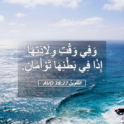 Picture 05 - اَلتَّكْوِينُ 38:27 AVD - وَفِي وَقْتِ وِلَادَتِهَا - Bible Verse Picture