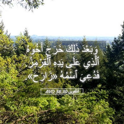 Picture 05 - اَلتَّكْوِينُ 38:30 AVD - وَبَعْدَ ذَلِكَ خَرَجَ - Bible Verse Picture