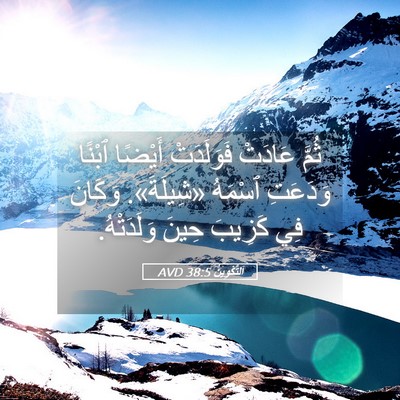 Picture 05 - اَلتَّكْوِينُ 38:5 AVD - ثُمَّ عَادَتْ فَوَلَدَتْ - Bible Verse Picture