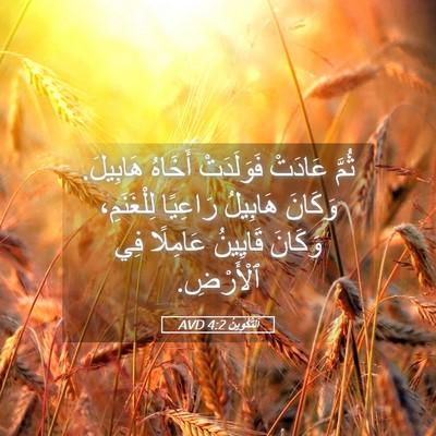 Picture 05 - اَلتَّكْوِينُ 4:2 AVD - ثُمَّ عَادَتْ فَوَلَدَتْ - Bible Verse Picture