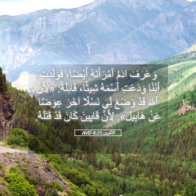Picture 05 - اَلتَّكْوِينُ 4:25 AVD - وَعَرَفَ آدَمُ - Bible Verse Picture