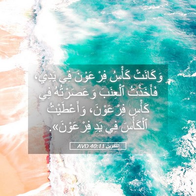 Picture 05 - اَلتَّكْوِينُ 40:11 AVD - وَكَانَتْ كَأْسُ - Bible Verse Picture