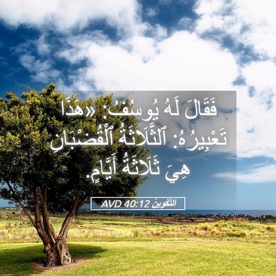 Picture 05 - اَلتَّكْوِينُ 40:12 AVD - فَقَالَ لَهُ يُوسُفُ: - Bible Verse Picture