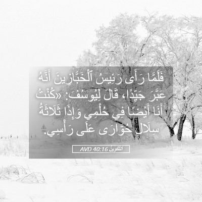 Picture 05 - اَلتَّكْوِينُ 40:16 AVD - فَلَمَّا رَأَى رَئِيسُ - Bible Verse Picture